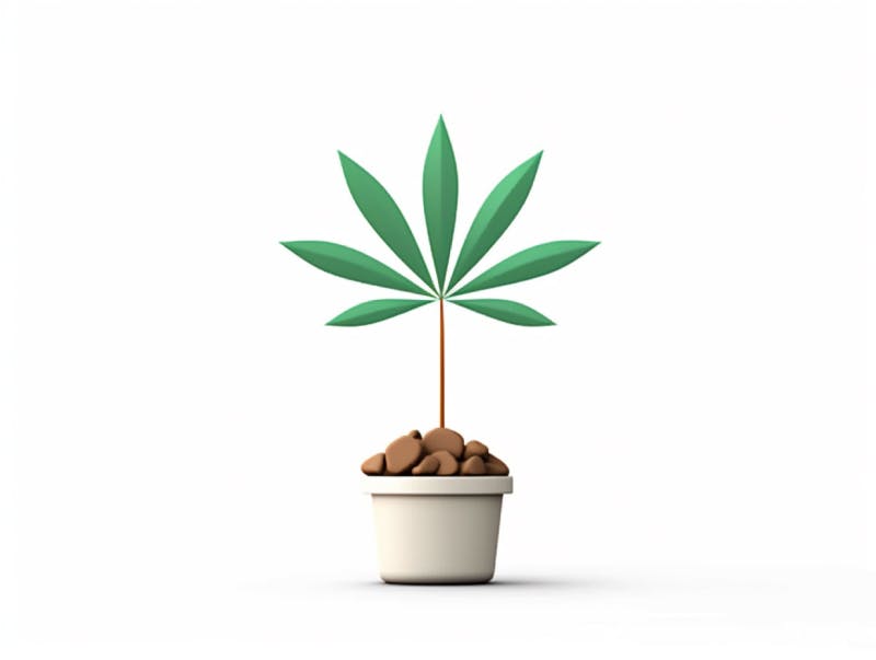 Eine minimalistische, geometrische Darstellung eines wachsenden Cannabispflanzensprösslings. Es steht für das Gründen eines neuen Aufstrebenden Clubs in Mülheim an der Ruhr.